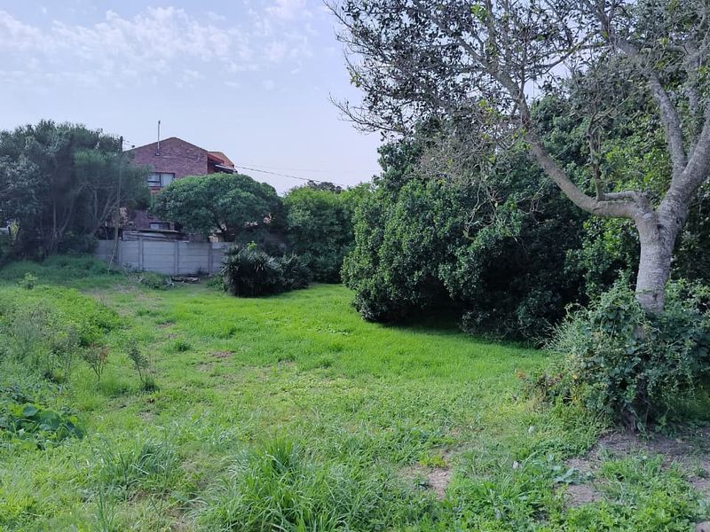 A spacious, undeveloped residential plot featuring established trees, a grass lawn, and a boundary wall, offering potential for future landscaping or development.