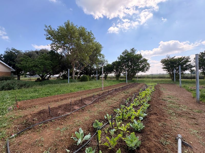 Irrigation Farm with Exceptional Potential in Klerksdorp - Photo 2