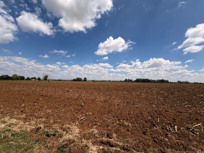 Irrigation Farm with Exceptional Potential in Klerksdorp - Photo 5
