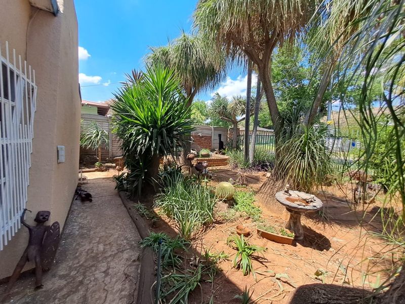 A side garden area featuring a concrete pathway, mature trees, and established landscaping along the side of the house.