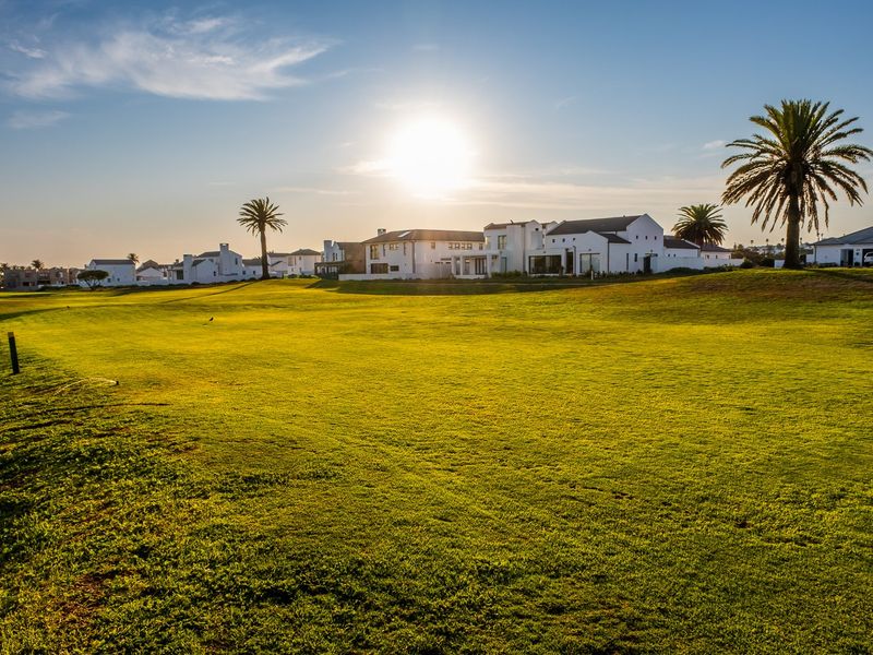 A scenic view of a well-maintained residential lawn area with surrounding estate homes and mature palm trees under a clear sky.