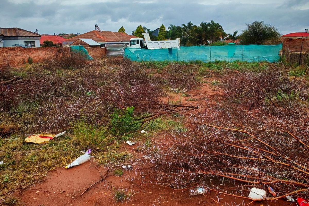 A vacant residential plot featuring a brick boundary wall and green shade cloth fencing, currently covered in overgrown vegetation and debris.
