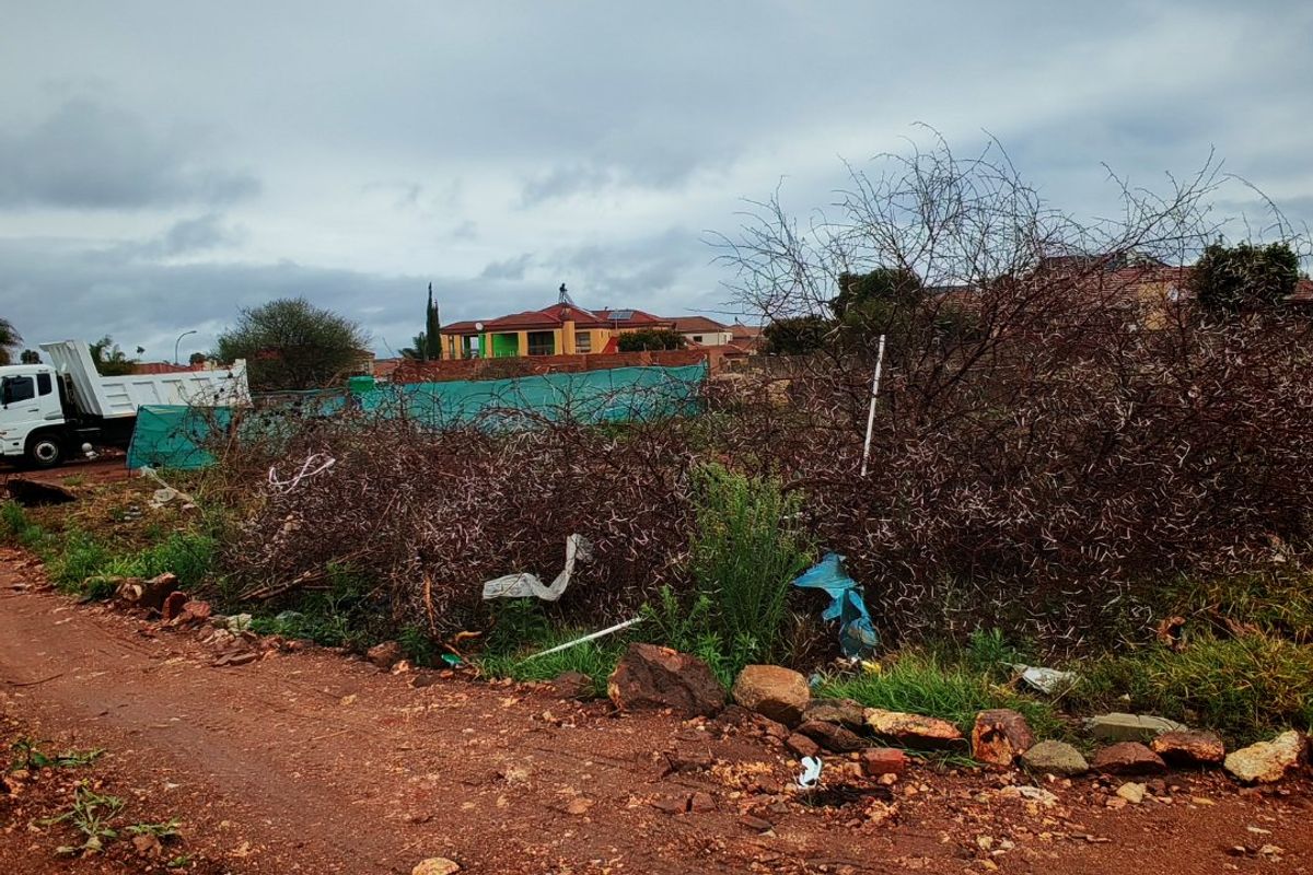 A view of an undeveloped residential plot featuring a dirt access road and overgrown vegetation, situated in a suburban neighborhood.