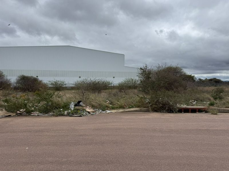 A view of a vacant residential land plot featuring an asphalt driveway, drainage infrastructure, and surrounding overgrown vegetation with visible debris.