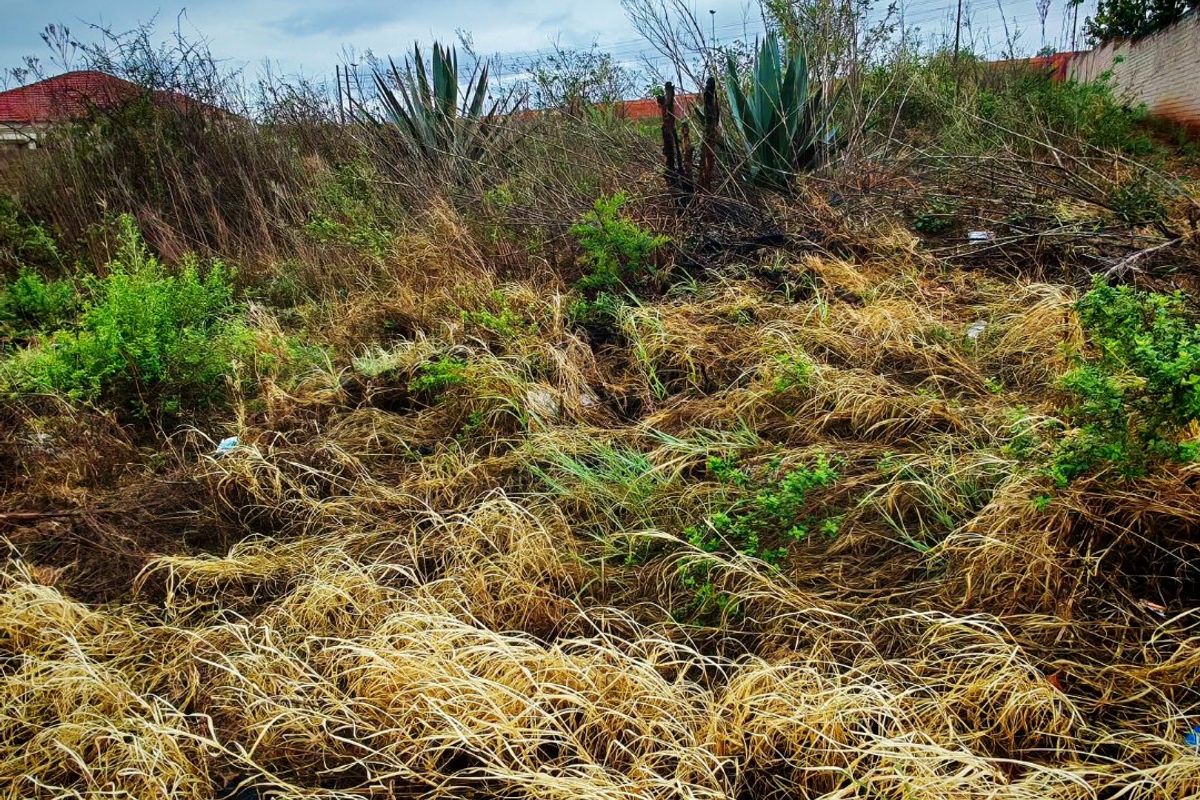 An undeveloped residential plot featuring overgrown wild vegetation and dry grass, enclosed by a partial boundary wall.
