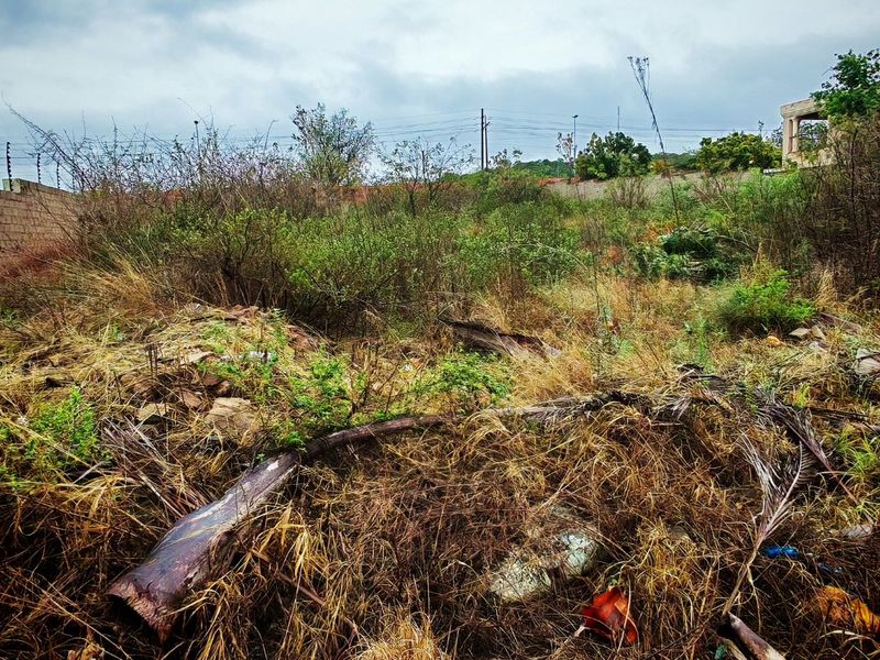 A view of a vacant residential plot featuring overgrown vegetation and perimeter fencing, suitable for future development.