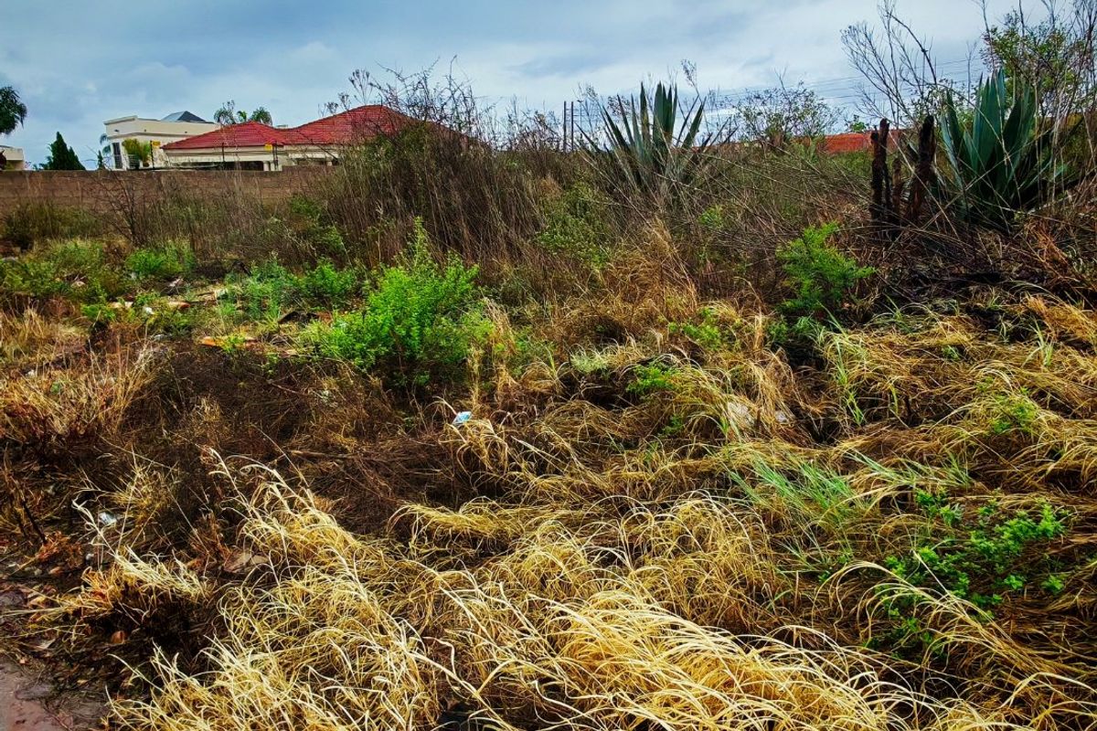 A view of a vacant residential plot featuring overgrown grass and vegetation with a boundary wall visible in the background.