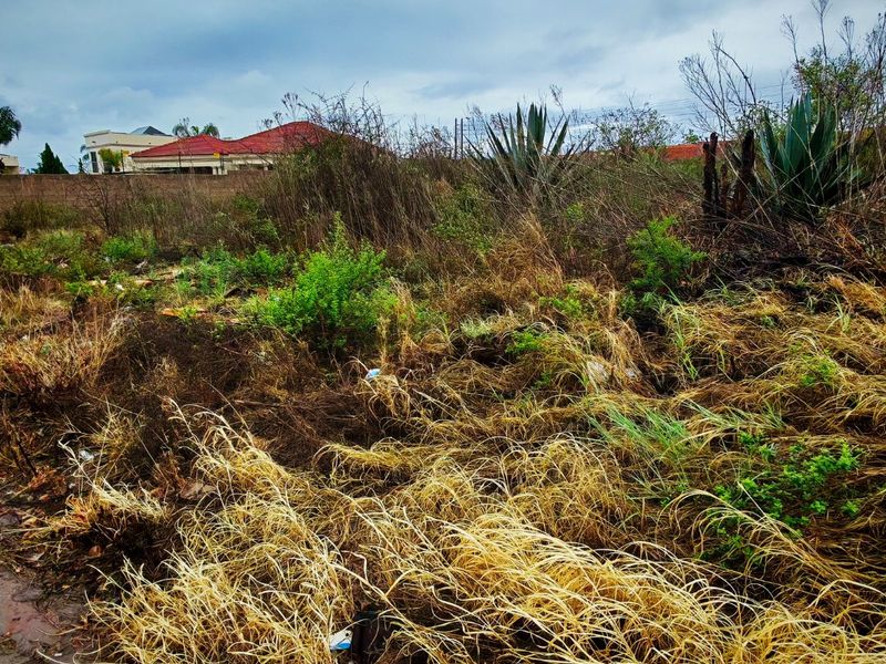A view of a vacant residential plot featuring overgrown grass and vegetation with a boundary wall visible in the background.