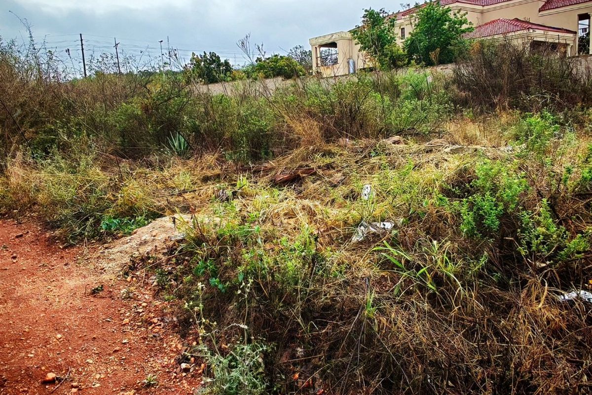 A view of an unimproved residential vacant lot with overgrown vegetation and a dirt path, showing neighboring property in the background.