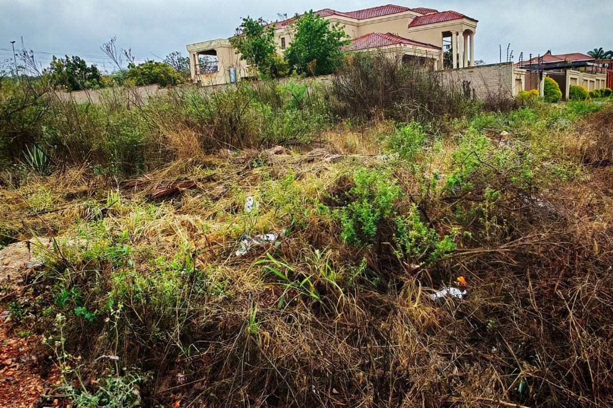 A view of a vacant residential plot featuring overgrown vegetation and a boundary wall, with a neighboring house visible in the background.