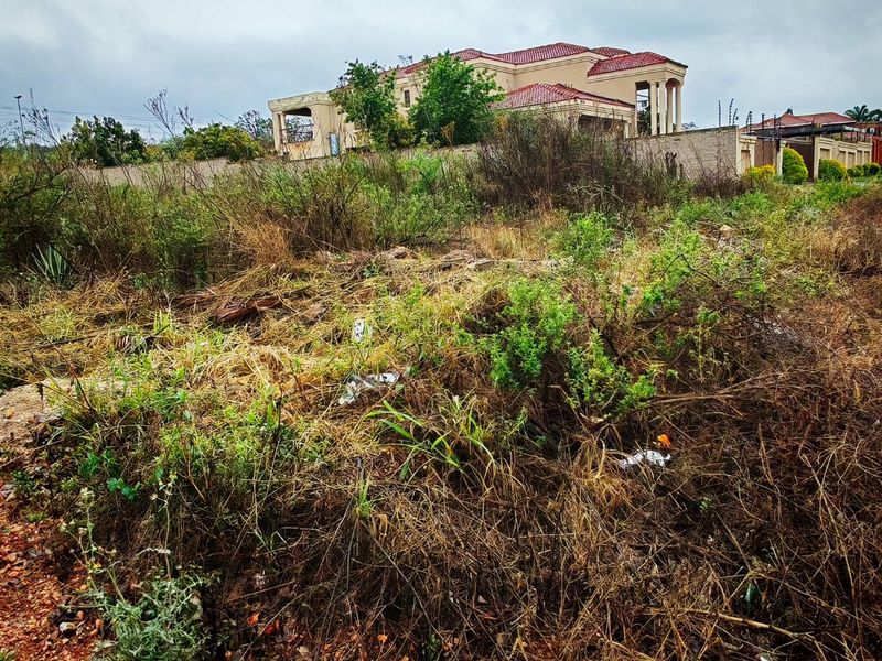 A view of a vacant residential plot featuring overgrown vegetation and a boundary wall, with a neighboring house visible in the background.
