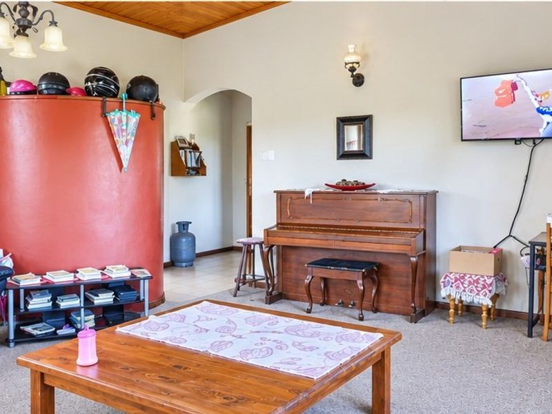 A living room featuring a distinctive curved red feature wall, timber ceiling, and carpeted flooring, providing a functional and versatile living space.