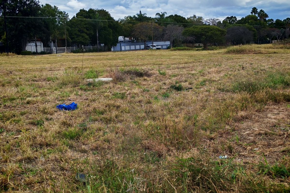 A vacant residential plot featuring open grassland and mature trees, providing a blank canvas for future development.
