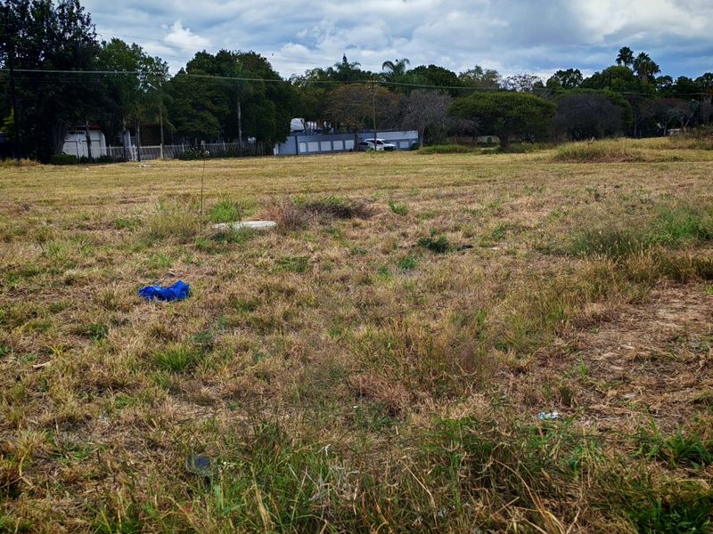 A vacant residential plot featuring open grassland and mature trees, providing a blank canvas for future development.