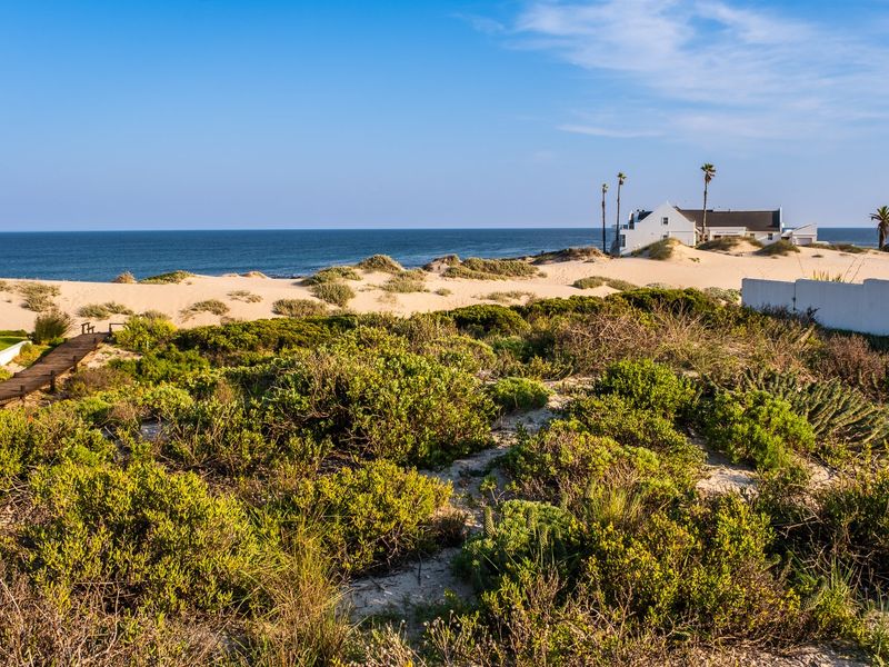 A scenic view of coastal dunes, native vegetation, and a wooden boardwalk leading toward the ocean with a residential property in the distance.