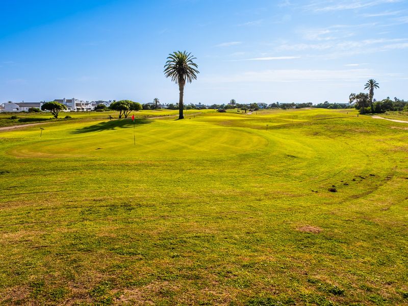 A scenic view of a well-maintained golf course fairway with mature palm trees and surrounding residential properties in the distance.