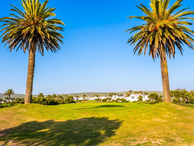 A scenic view overlooking a manicured golf course green framed by two mature palm trees under a clear blue sky.