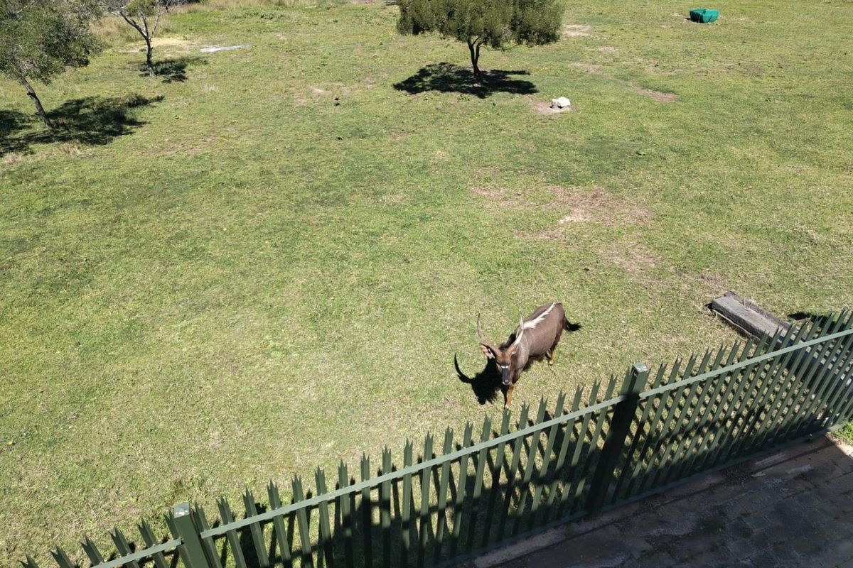 An elevated view of a spacious grassy garden area enclosed by metal perimeter fencing.