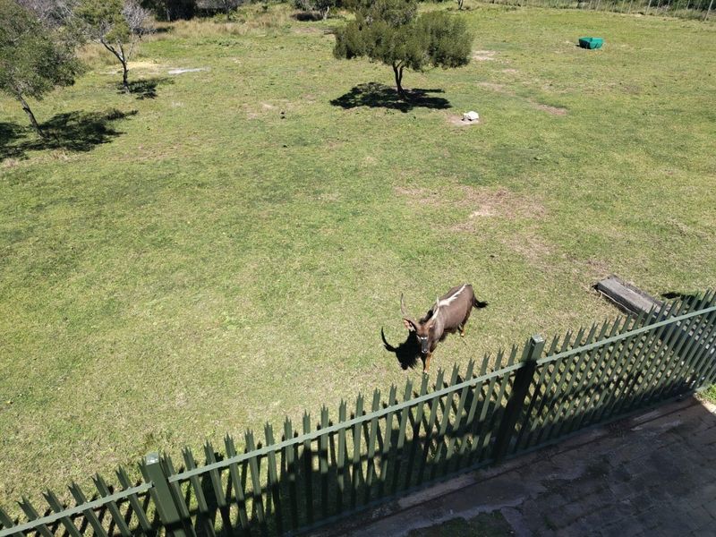 An elevated view of a spacious grassy garden area enclosed by metal perimeter fencing.