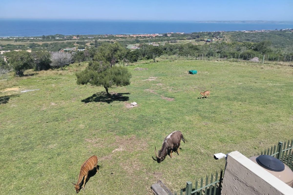 Elevated view overlooking a large grassy estate area with coastal scenery in the background.