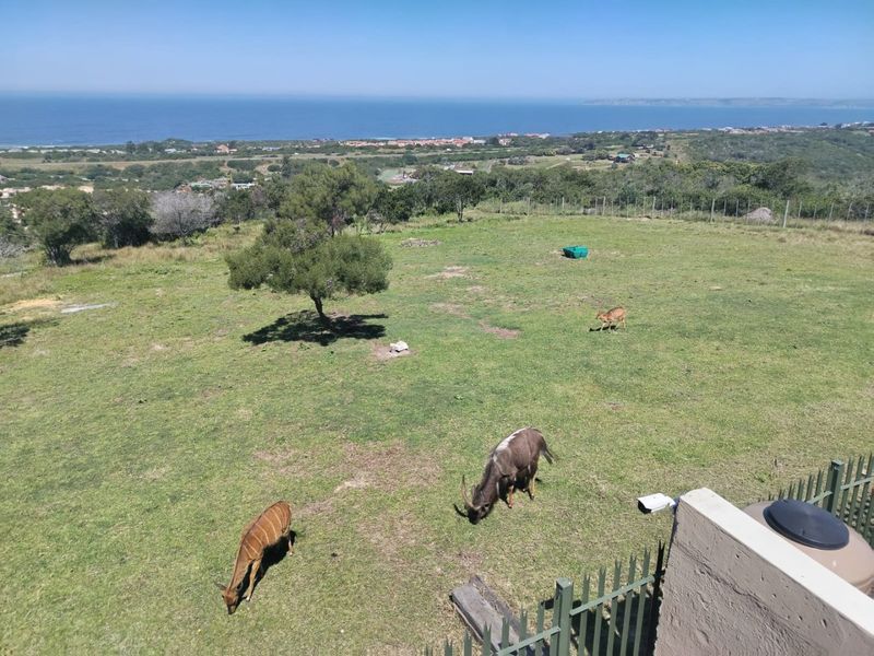 Elevated view overlooking a large grassy estate area with coastal scenery in the background.