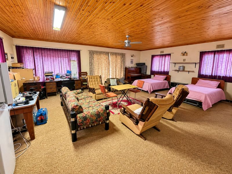 Spacious open-plan living area featuring a timber-clad ceiling, ceiling fan, and neutral carpeting, offering a versatile layout for combined living and sleeping arrangements.