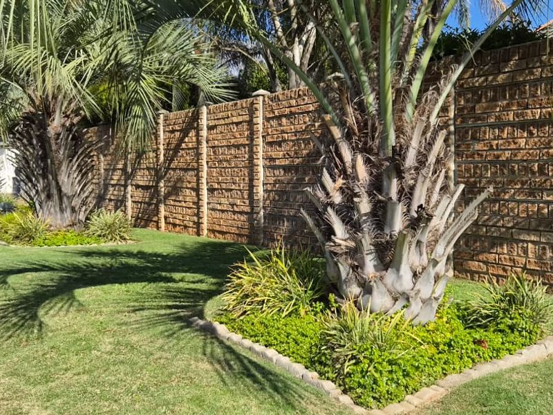 A well-maintained front garden featuring established palm trees and a solid brick boundary wall, providing privacy and curb appeal.