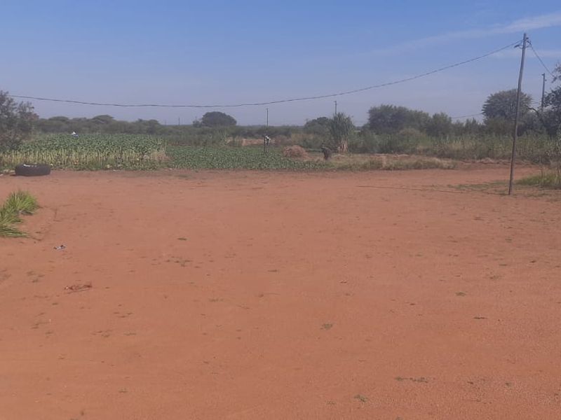?? 9-HECTARE PLOT FOR SALE ??  ??  - Photo 2