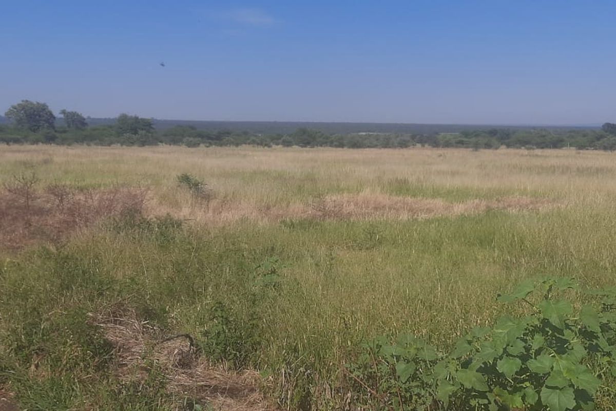 A wide-angle view of a vacant residential plot featuring natural grassland and perimeter fencing.