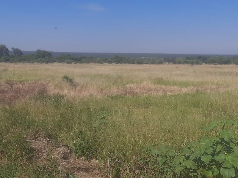 ?? 9-HECTARE PLOT FOR SALE ??  ??  - Photo 5