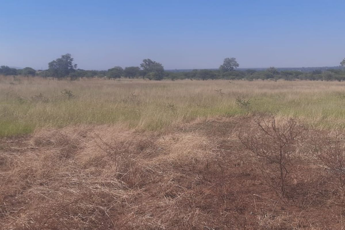 A view of a vacant residential plot featuring natural grass and scattered trees, suitable for future development.