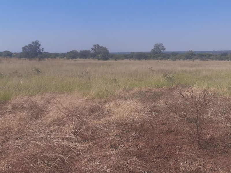 ?? 9-HECTARE PLOT FOR SALE ??  ??  - Photo 3