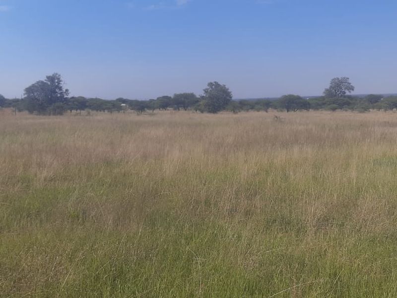 ?? 9-HECTARE PLOT FOR SALE ??  ??  - Photo 9
