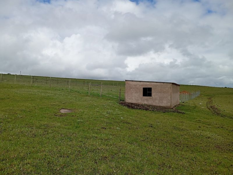 Plot for Sale in Zazulwana near WSU  - Photo 10