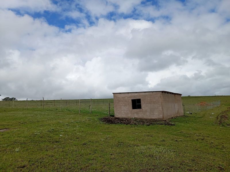 Plot for Sale in Zazulwana near WSU  - Photo 9