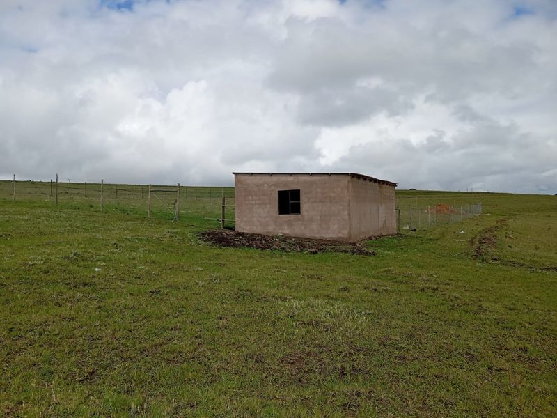 Plot for Sale in Zazulwana near WSU  - Photo 8