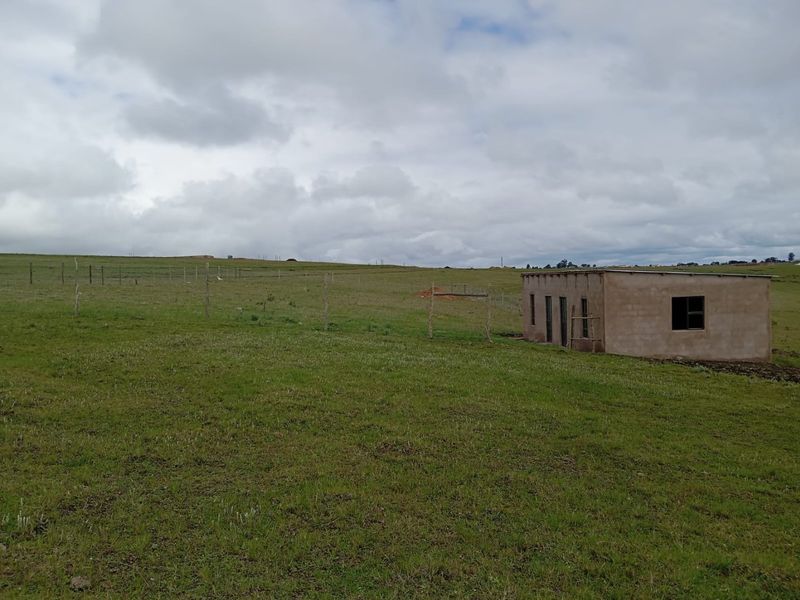 Plot for Sale in Zazulwana near WSU  - Photo 5