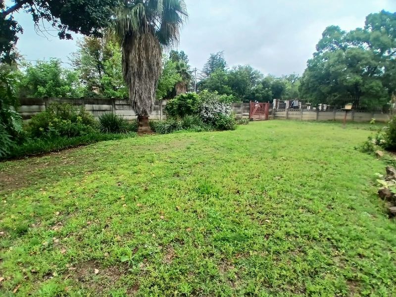 A spacious backyard garden featuring a large lawn, mature palm tree, and secure precast concrete boundary walling.