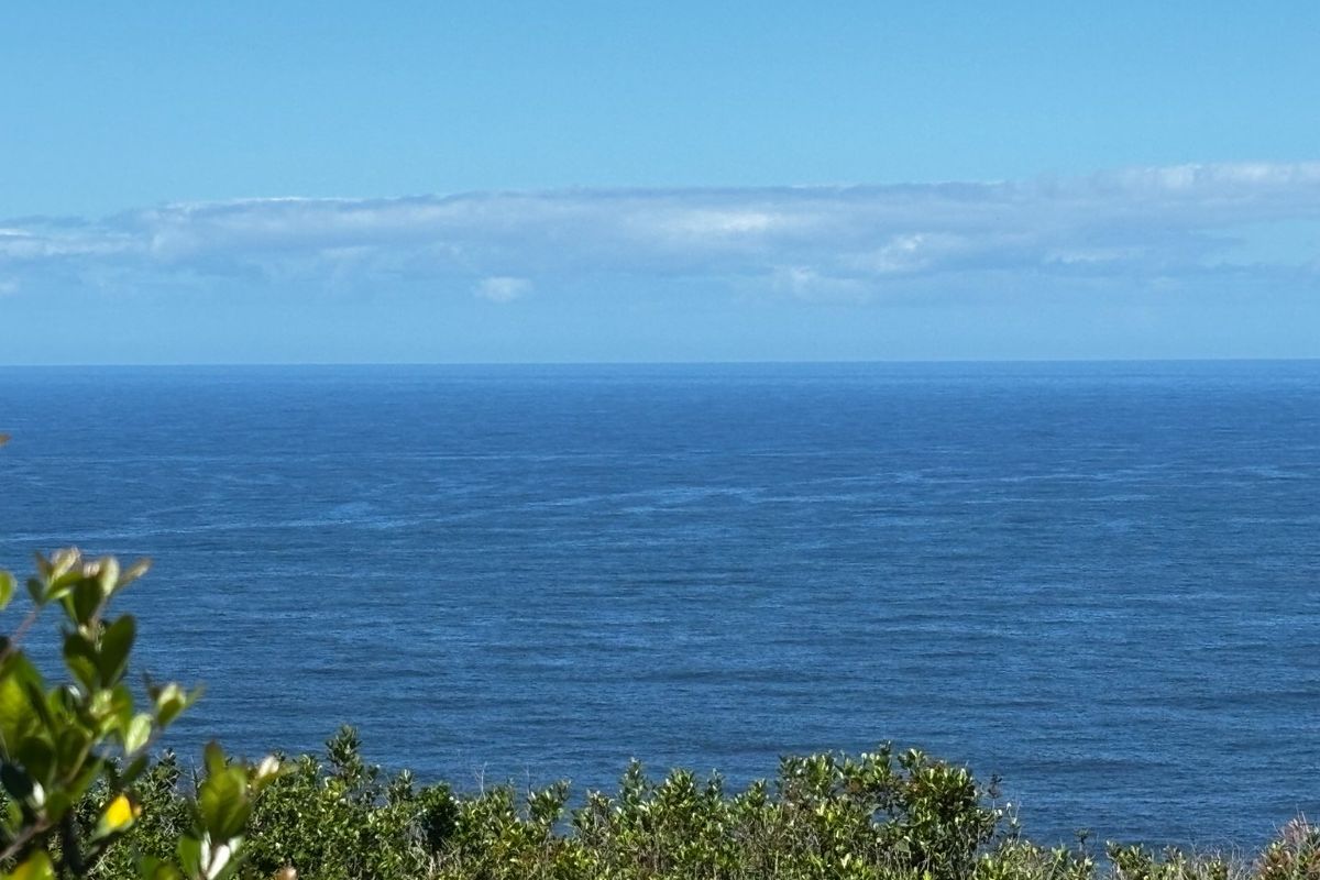 A clear, expansive view of the ocean horizon, showcasing the natural coastal landscape and horizon line.