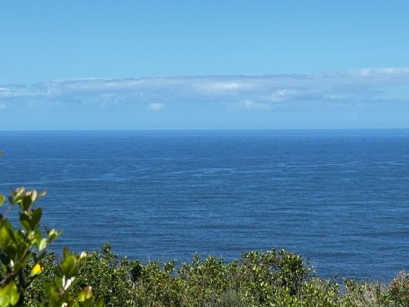 A clear, expansive view of the ocean horizon, showcasing the natural coastal landscape and horizon line.