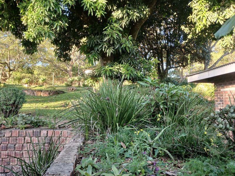 A lush, established garden featuring mature trees, tiered brick retaining walls, and diverse plantings, providing a natural and private outdoor setting.