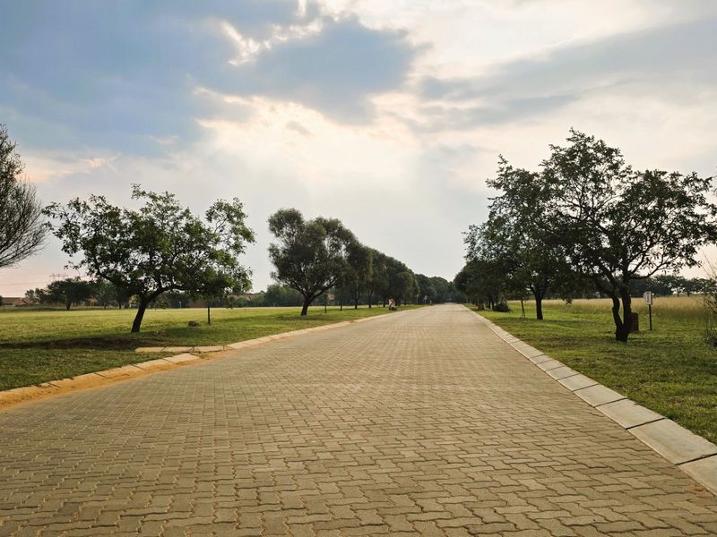 A view of a well-maintained paved residential street lined with mature trees and grass verges within the estate.