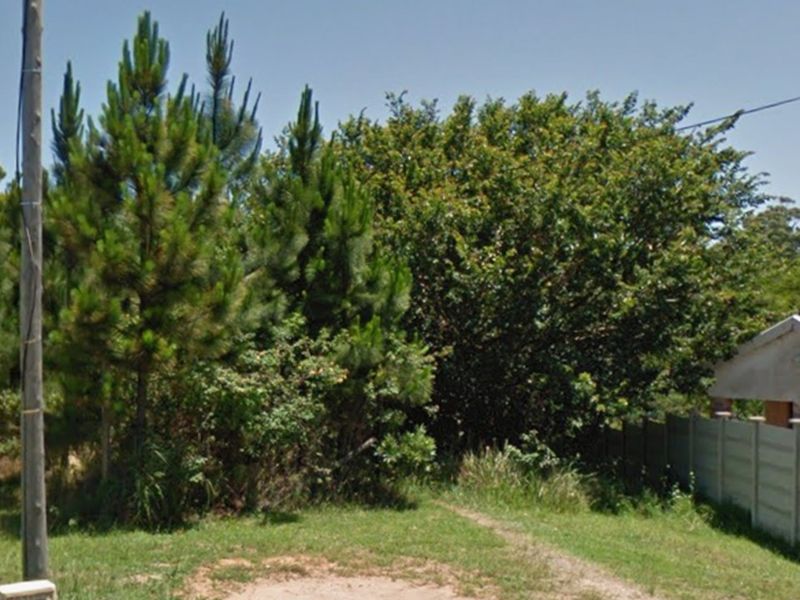 A view of a residential plot featuring mature trees, a utility pole, and a section of precast concrete walling.