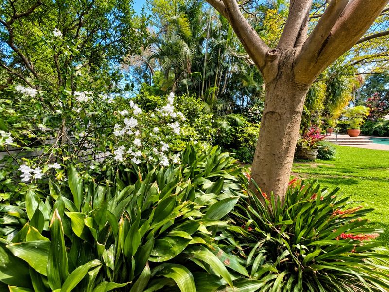 A lush, well-maintained garden featuring mature trees, vibrant flowering shrubs, and a manicured lawn area.