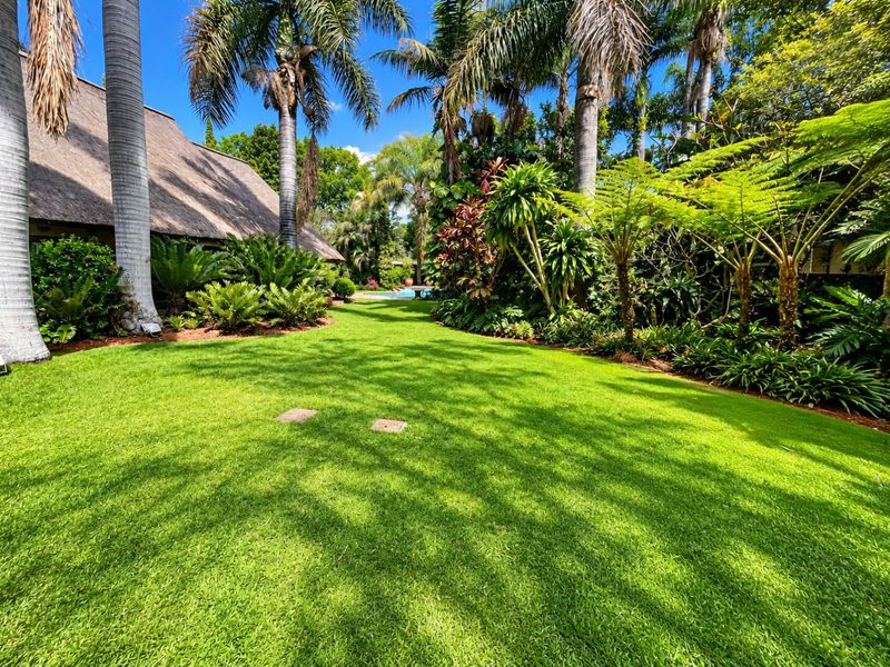 A lush, well-maintained garden featuring mature palm trees, manicured lawn, and a view of the thatched roof structure.