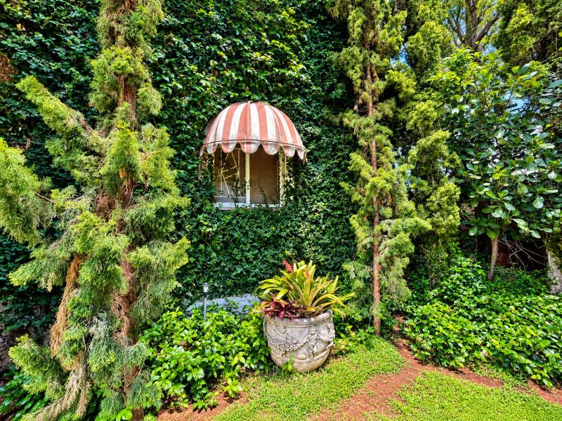 A lush, ivy-covered exterior wall featuring a decorative window with a striped awning, surrounded by mature garden landscaping.