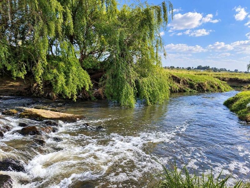 A scenic view of a flowing river on the farm, featuring natural vegetation and a large willow tree along the bank.