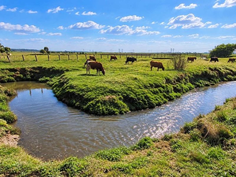 A scenic view of the farm property featuring a natural stream winding through lush green grazing pastures with livestock.