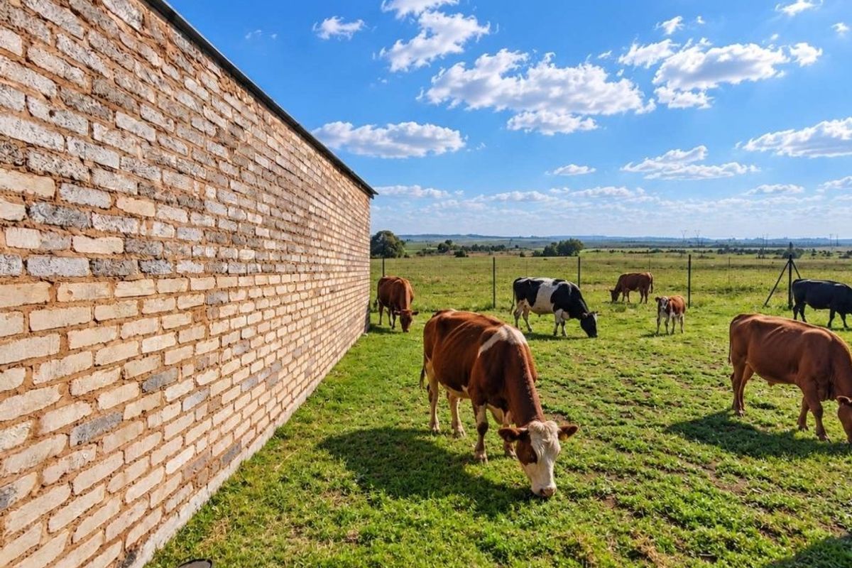 A view of a farm property featuring an exposed brick wall structure adjacent to a grazing pasture with livestock.