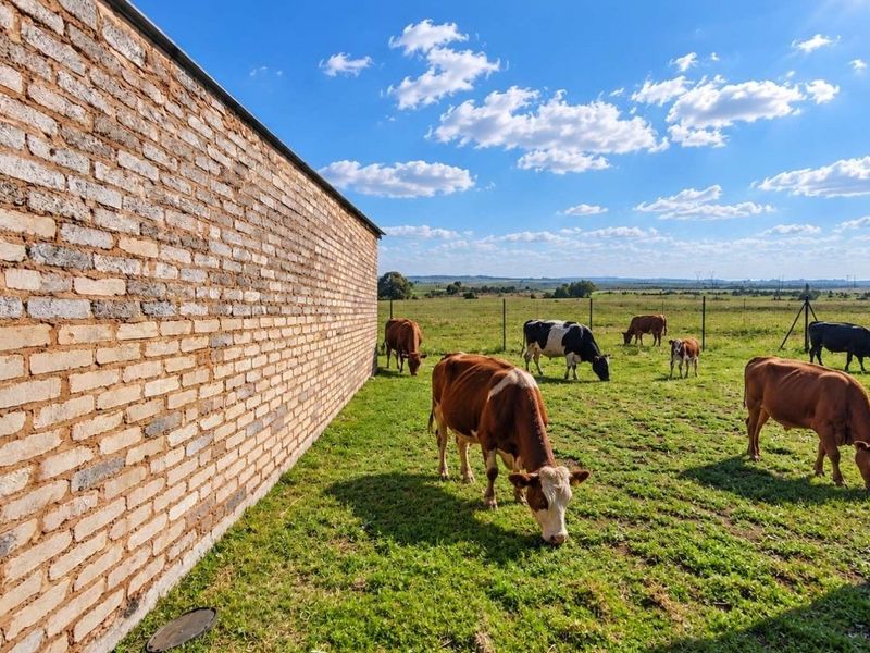 A view of a farm property featuring an exposed brick wall structure adjacent to a grazing pasture with livestock.